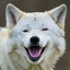 White Wolf
