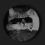 mrflashspam