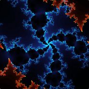 ♻️✨⇻Budjy⇺✨🚚