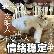 南村群童欺我老无力