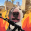 Eme the Dog