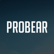 ProBear
