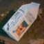 lost cat on a milk carton
