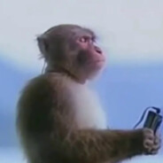 Monkey Maestro - steam id 76561199067030325