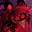 [<3]MetalYoshi