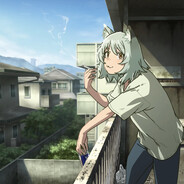 甜菜