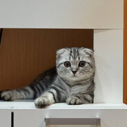 LIL 4I4I - steam id 76561198402404036