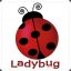 Ladybug3105