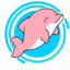 DPinkDolphin