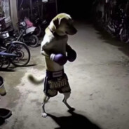 相册满了不收图