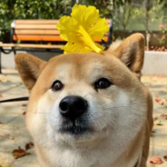 把把M4三秒送头