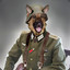 Drillsergeant Doggo