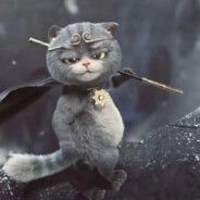 一只霸气的菜猫