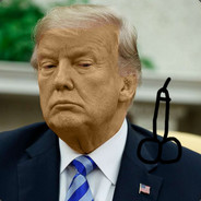Trump Big Gey