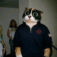 Кукич Штейн