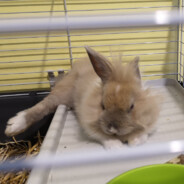 .......................