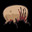 DrHeadCrabD's Avatar