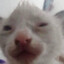 hepj_