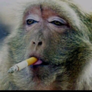 凱凌游戯賊菜QAQ