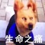 炉渣啊看