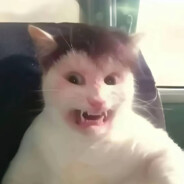 giveme1017alyx9smurgently