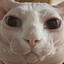 john