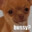 bussy