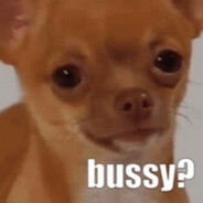 bussy