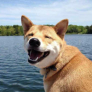 莫辞花下醉芳茵