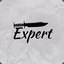 Expert