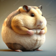 şhitman hamster