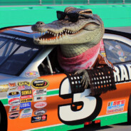 Croc Earnhardt