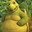 BigVerne