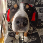 Jora Blocuri - steam id 76561199445888963