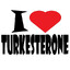 turk plug
