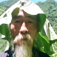 超绝喜洋洋西伯利亚龙