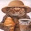 Katze