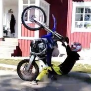 Nalle