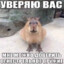 кошкодед's avatar