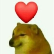 13区第一突破手成龙