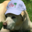 cophon