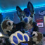 Boon: Fursuit Thighs