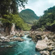 The Filipino Jungle Fighter