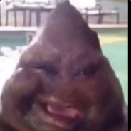 bobert_n
