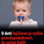 AnabolaGr1sen