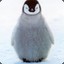 The Perilious Penguin