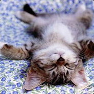 百里屠夫丶杀野猪