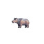 Hippo