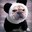 PugPanda