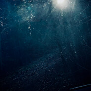 LNiNO - steam id 76561198386835289